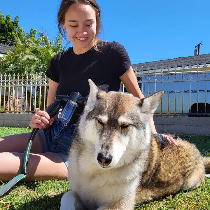 Skonsam hundschampo spray med mild formula för känslig hundhud. Ger en glänsande och ren päls.