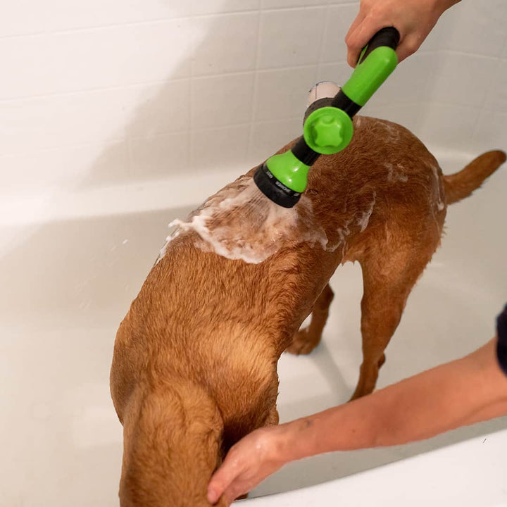 Hundschampo spray – skonsam rengöring för en glansig päls. Optimal för regelbunden hundvård.