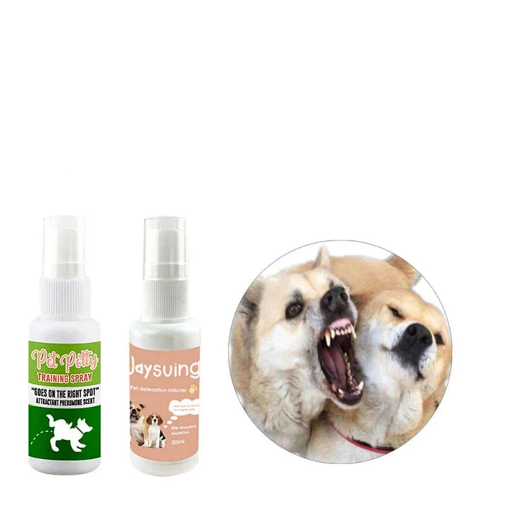 Valpträning & rumsrenhetsspray för enkel toalettträning. Hjälper hundägare effektivt.