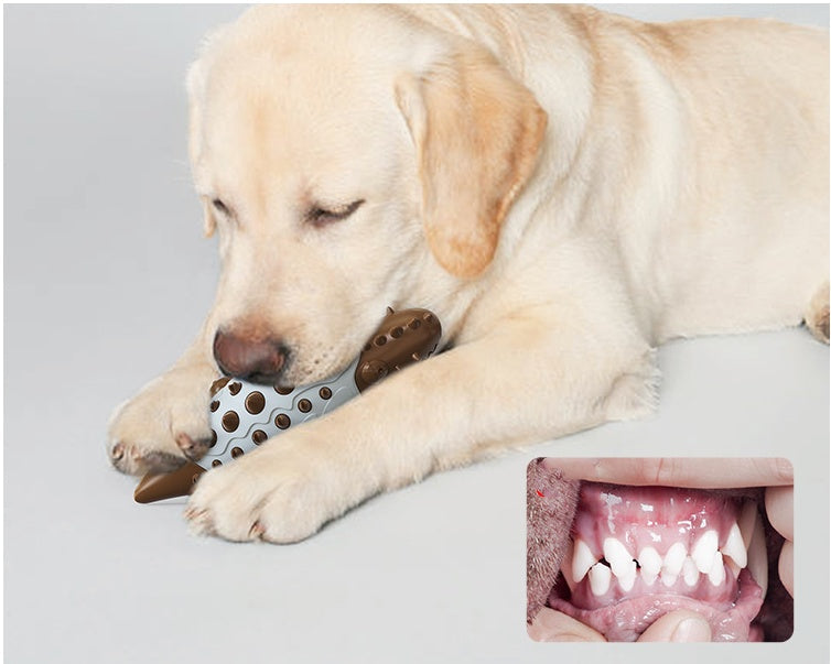 Hundtugg för tandvård. Hållbar tuggleksak som främjar munhygien hos hundar och valpar.