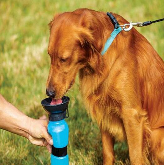 Kompakt vattenflaska för hund. Lätt att bära med sig på vandringar och äventyr för din fyrbenta vän.