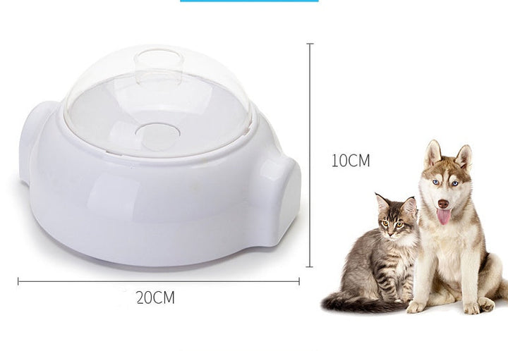 Transparent plastbehållare för kattmat. Lufttät försegling bevarar fodret fräscht och hygieniskt. Djurtillbehör.