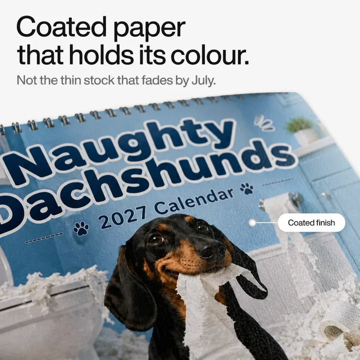 Exempel på månadsöversikt i populär hundkalender för djurälskare
