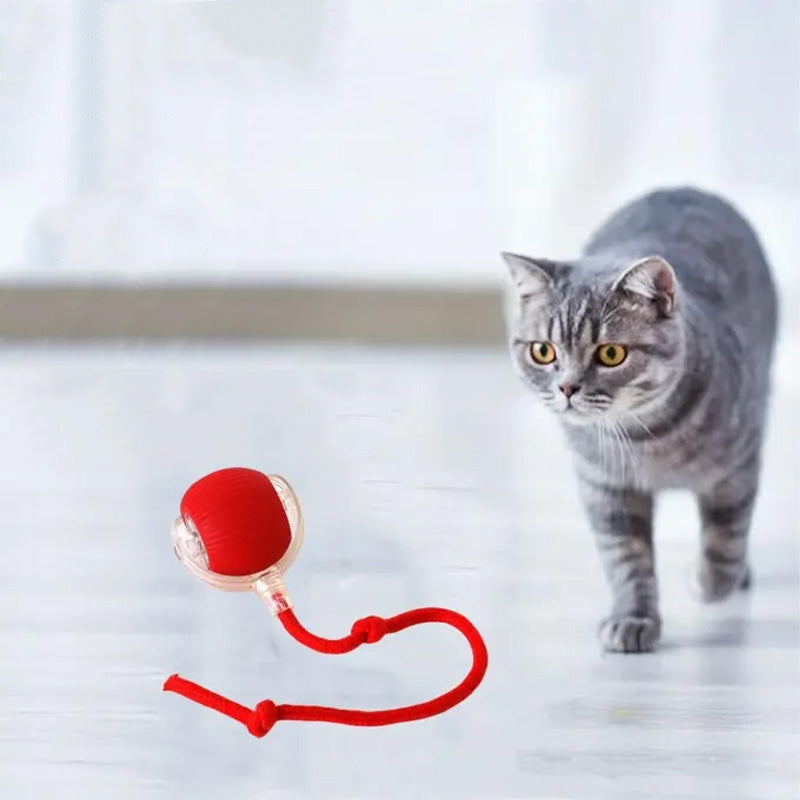 "Interaktiv boll för katter, 3-färg val, rullande på olika golv, engagerande leksak, interaktiv och pålitlig design"