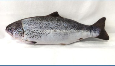 Ergonomisk och säker interaktiv fjäderfisk kattleksak med naturlig kattmynta för katter.