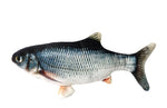 Karp