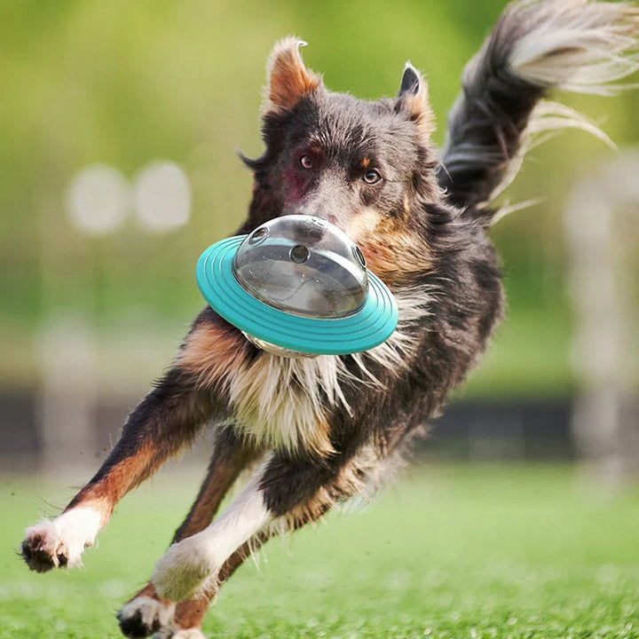 Interaktiv hund leksak flygande tefat i gul och sjöblå, långsam matare för underhållning och matutdelning.