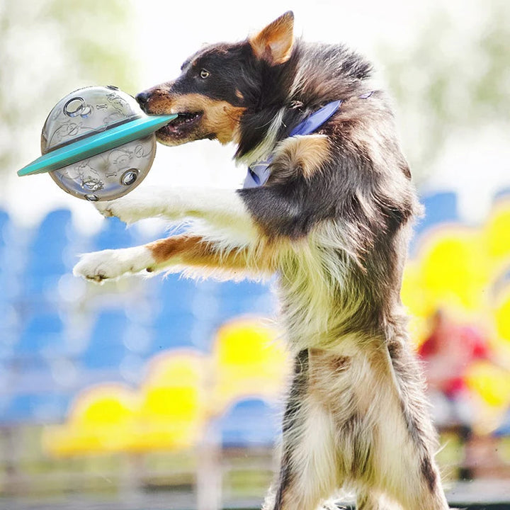 Interaktiv hund leksak flygande tefat i gul och sjöblå, långsam matare för underhållning och matutdelning.