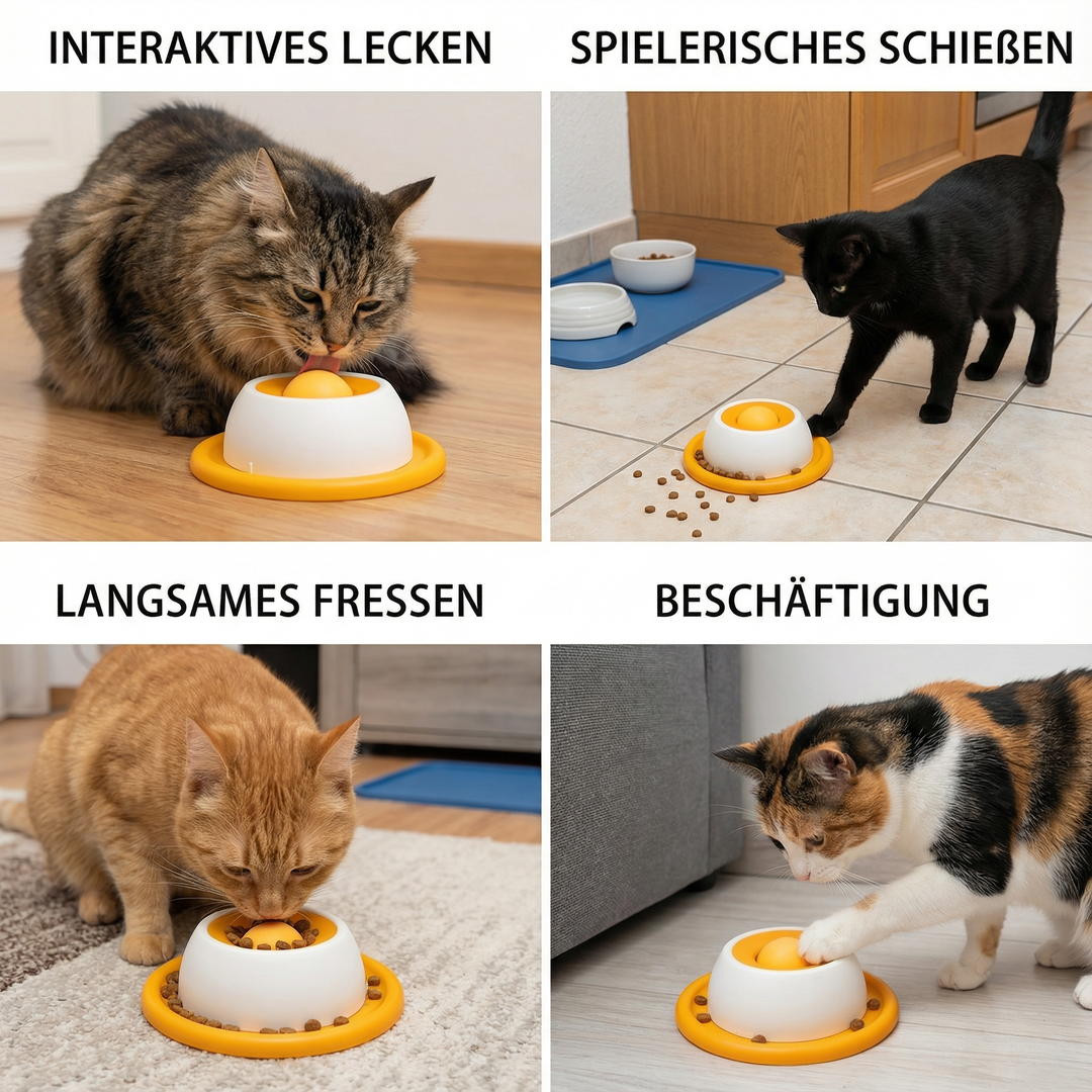 Innovativ kattprodukt: interaktiv godisleksak för kattens berikning & långsam utfodring.