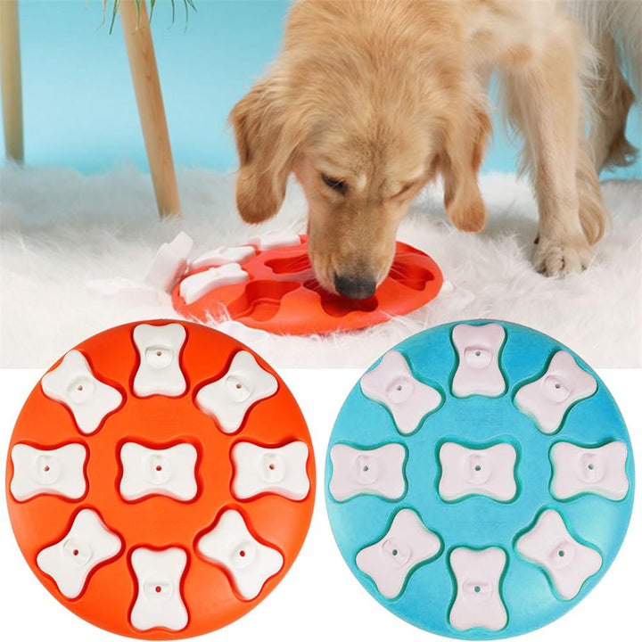Hund leker med foderdosering. Interaktiv leksak för valpar & småhundar, mental stimulans.