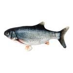 Karp