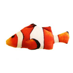 Clown fisk
