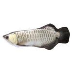 Silver Dragon Fish