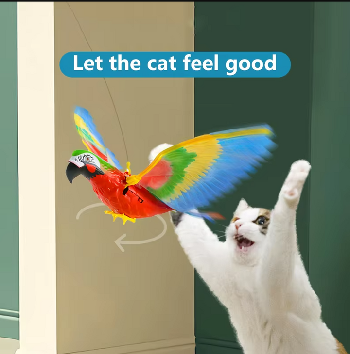 Katt fångar en flygande örnleksak, stimulerar jaktinstinkt och ger aktivitet för inomhuskatt.