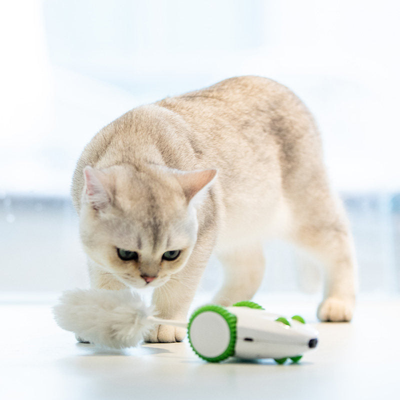 Aktiverande kattleksak med ljud som håller innekatter engagerade och stimulerade under långa lekstunder.