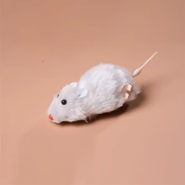 Stimulerande interaktiv musleksak för katt, perfekt för lek och daglig aktivering av sällskapsdjur.