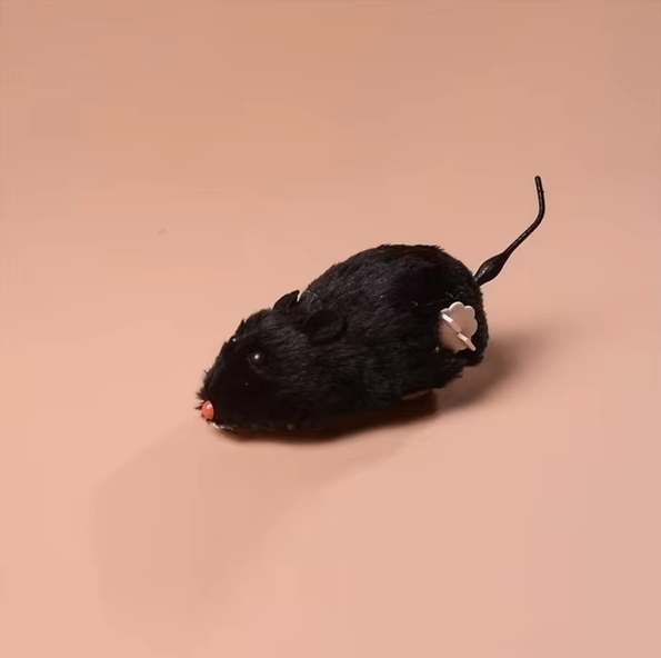 Modern kattleksak: interaktiv mus som främjar jaktlek och håller din katt underhållen.