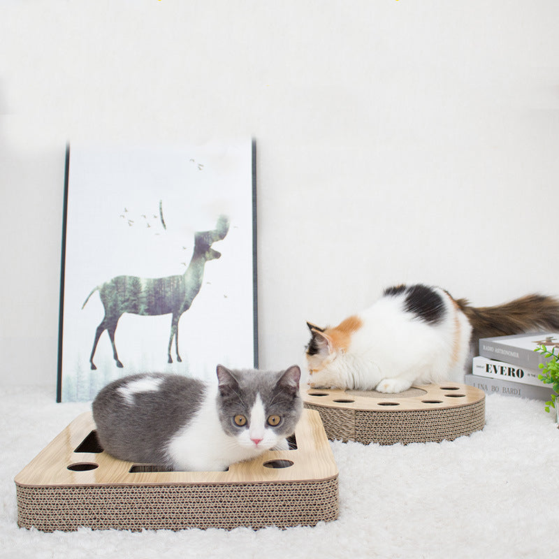 Rund interaktiv kattleksak; en bollbana som håller din katt aktiv och engagerad. Stimulerande husdjurslek.