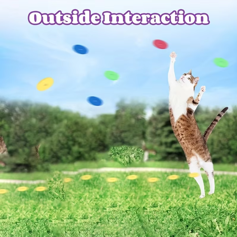Katt leker glatt med innovativt kattspel. Wurfskivan främjar rörelse och mental stimulans.
