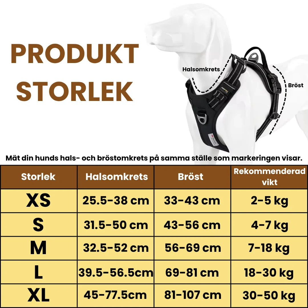 Reflexsele för hundar, syns bra i mörker; perfekt för säkra hundpromenader och utomhusaktiviteter.