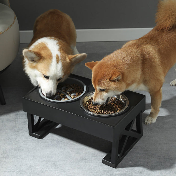 Upphöjd kattskål och hundskål. Justerbar ställning främjar optimal matsmältning och minskar belastning.