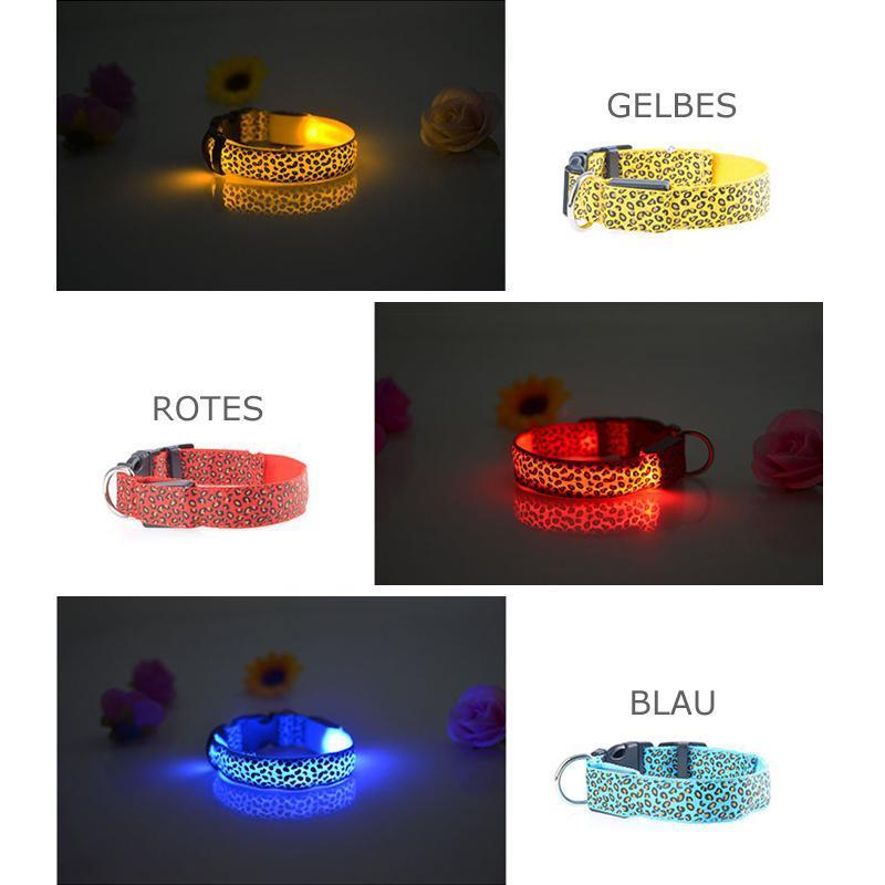 "Justerbart LED hundhalsband för nattbruk, nylon, synligt i mörker med blått, rött eller gult ljus, unisex design."