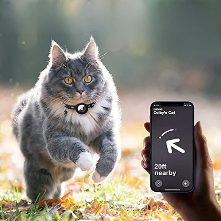 Katt som springer utomhus bredvid en mobiltelefon som visar spårningsapp.