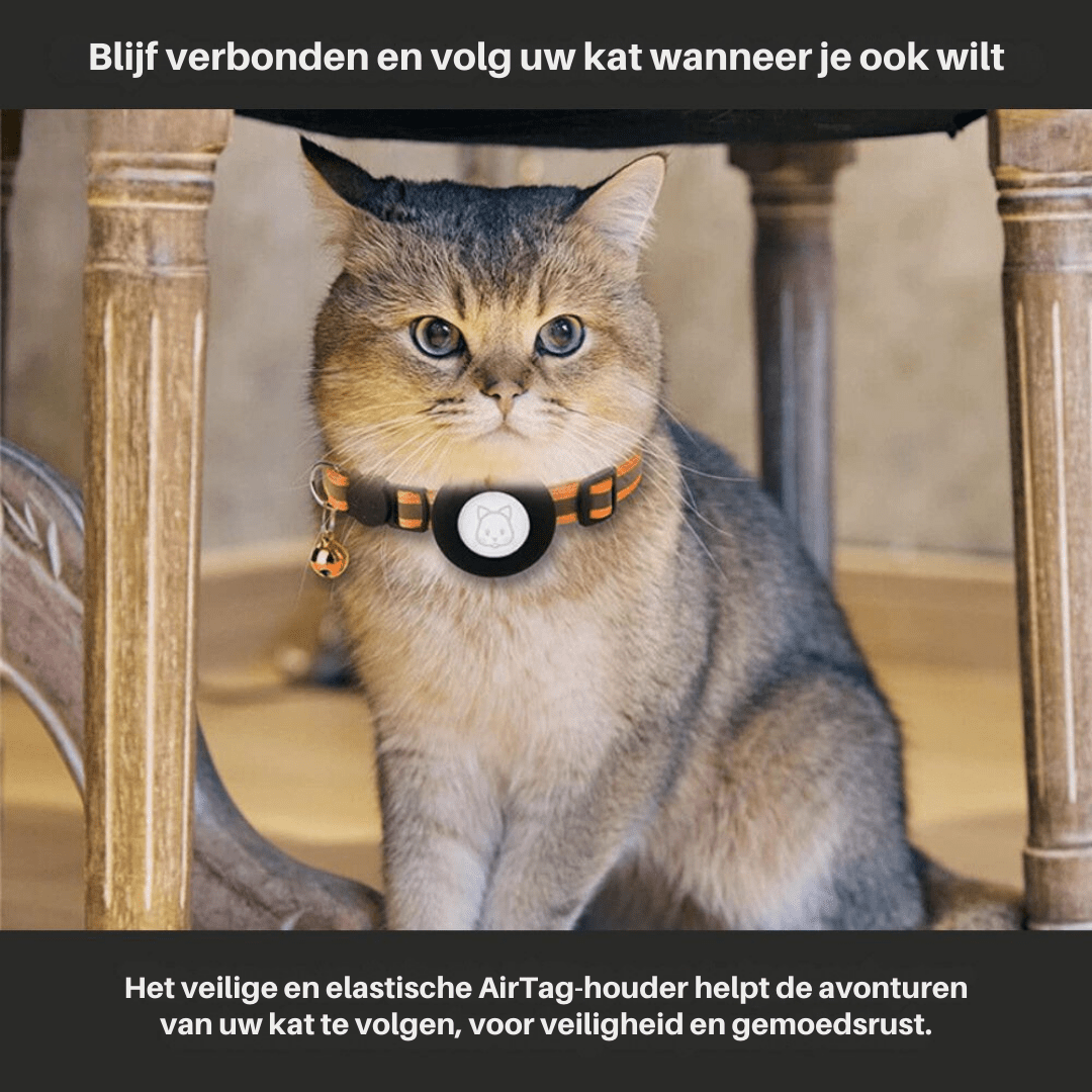Justerbart katthalsband med GPS-fäste i stark röd färg och säkerhetsspänne