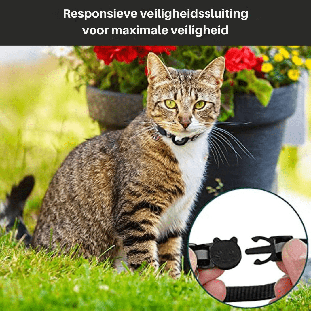 Smidigt kattillbehör med hållare för djurspårning och GPS-enhet