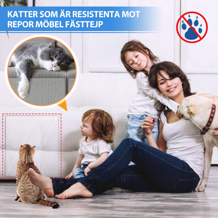 "Katter reptåliga transparent dubbelpolerad möbelskyddstejp på soffa, skyddar mot klösmärken. Inkluderar spikar."