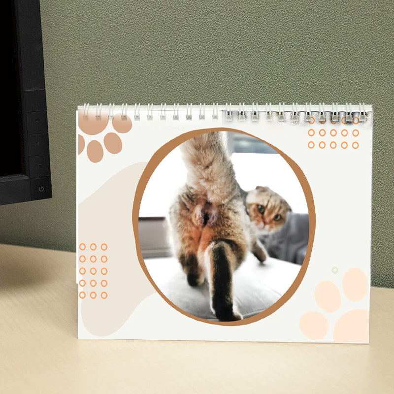"Kattkalender 2024 med roliga kattmotiv, perfekt presentidé för kattälskare och humorentusiaster."