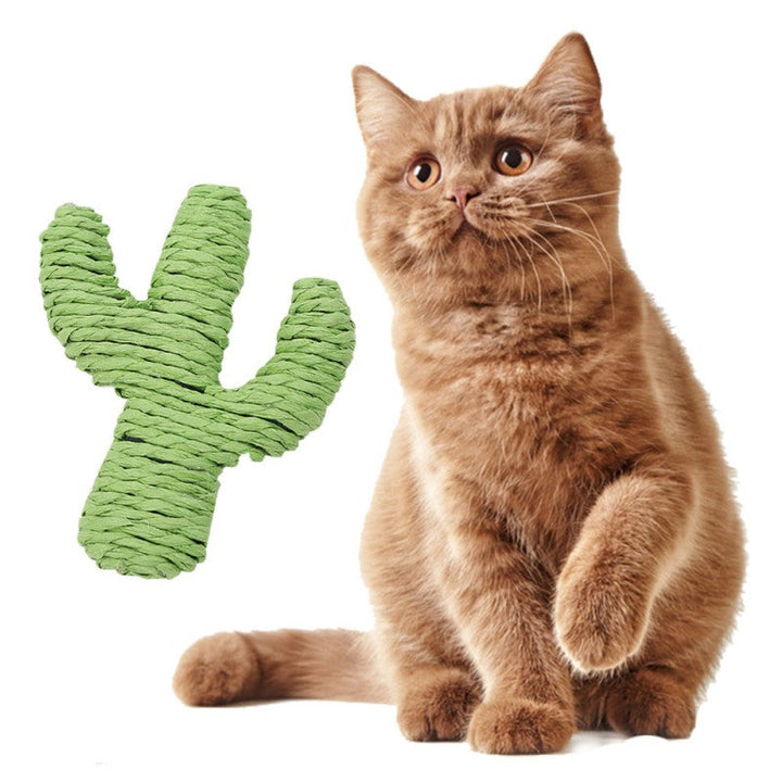 Klösbräda Kaktus designad för katter. Robust sisalleksak för naturlig klösning & aktivering av katt.
