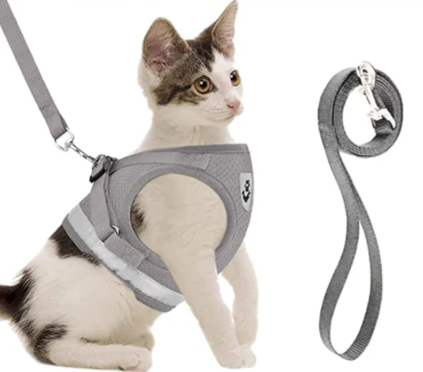 Stilren kattsele med koppel, designad för maximal komfort och säkerhet under kattpromenader.