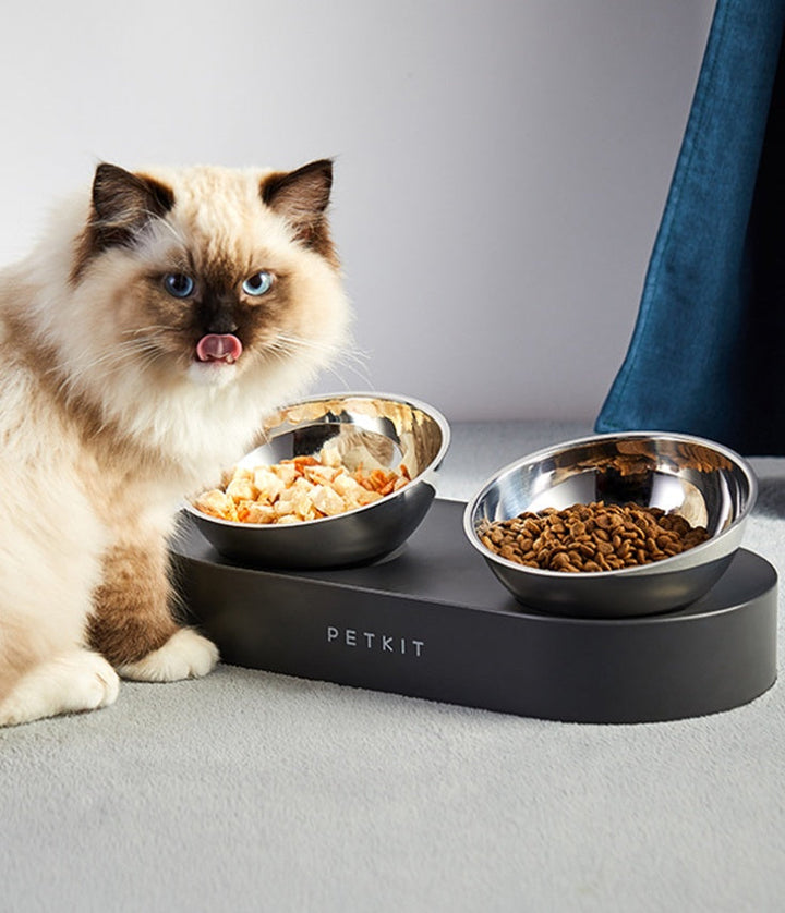 Två matskålar i rostfritt stål för katt. Hygienisk och lättstädad vattenkopp/matplats.