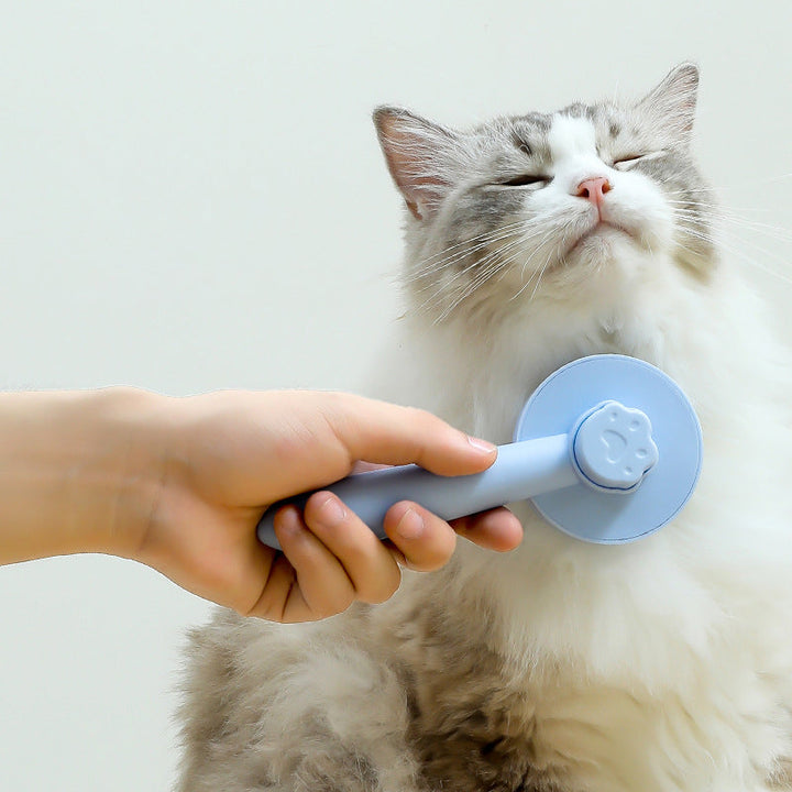 Kattvårdsborste för daglig skötsel, blå färg, ergonomisk design med rostfria stålborstpinnar för effektiv grooming.