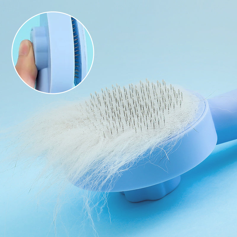 Kattvårdsborste för daglig skötsel, blå färg, ergonomisk design med rostfria stålborstpinnar för effektiv grooming.
