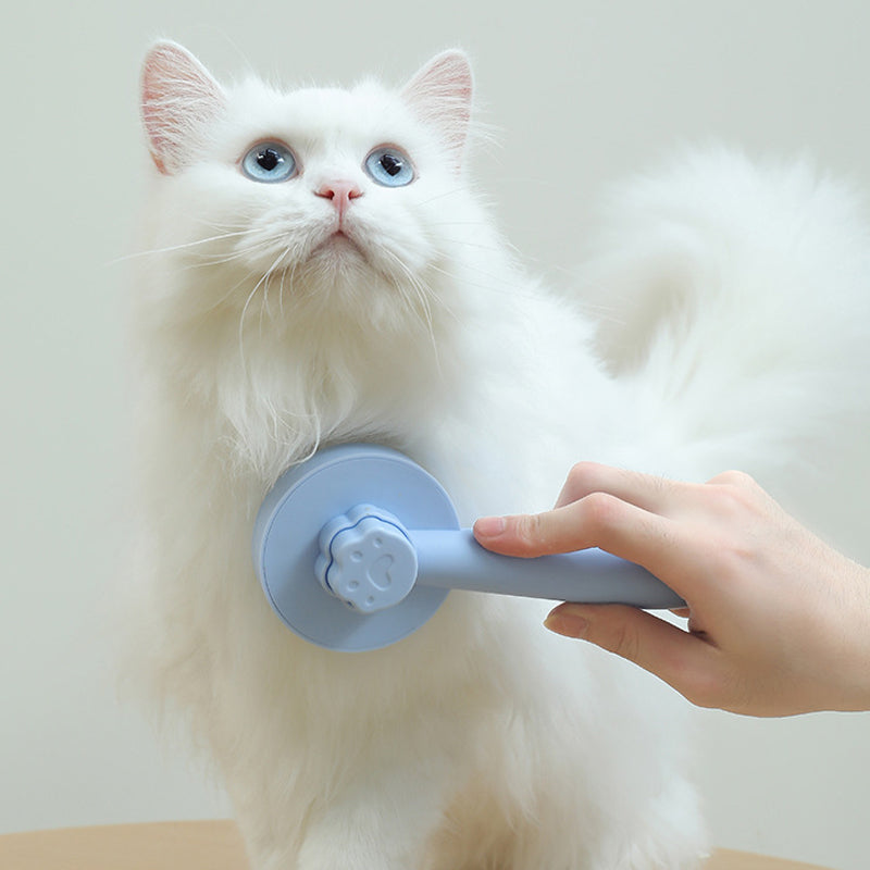 Kattvårdsborste för daglig skötsel, blå färg, ergonomisk design med rostfria stålborstpinnar för effektiv grooming.