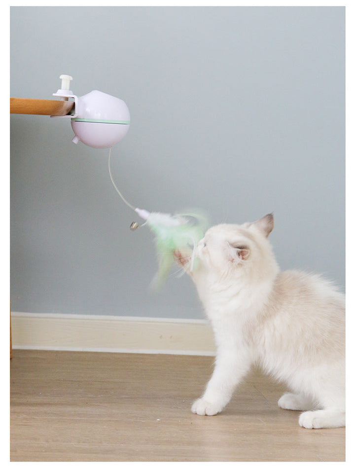 Katt leker glatt med en klämbar aktiveringsboll, en spännande husdjursleksak för inomhusbruk och stimulans.