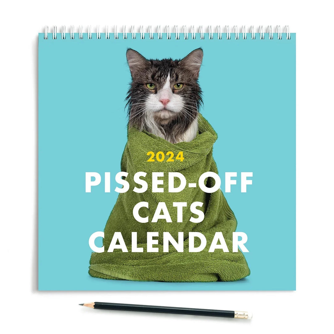 "Kul 2024 kalender med ilskna katter, humoristiska kattbilder, perfekt för kattälskare, dekorativ och funktionell."