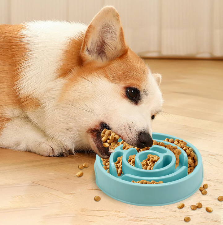 Långsam matskål för hund som minskar ätstress och främjar hälsosamt ätande. Smart anti-glup design.
