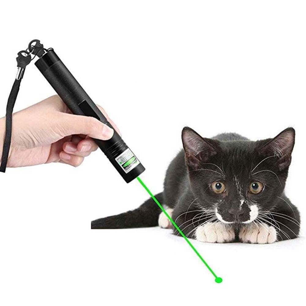 Laser 303 laserpekare som används för att leka med en katt