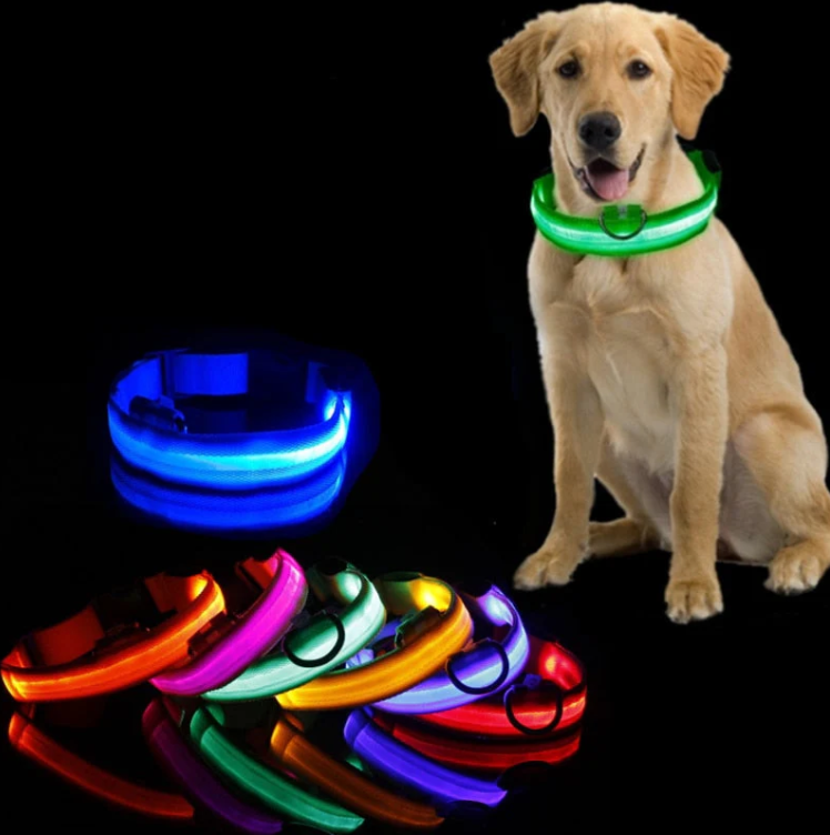 LED-hundhalsband för säkerhet på kvällspromenader. Ökad synlighet för hundägare och husdjur.