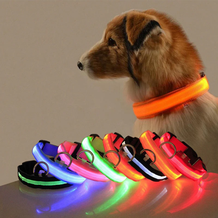 Reflekterande LED-hundhalsband för synliga och trygga hundpromenader. Uppladdningsbart säkerhetstillbehör.