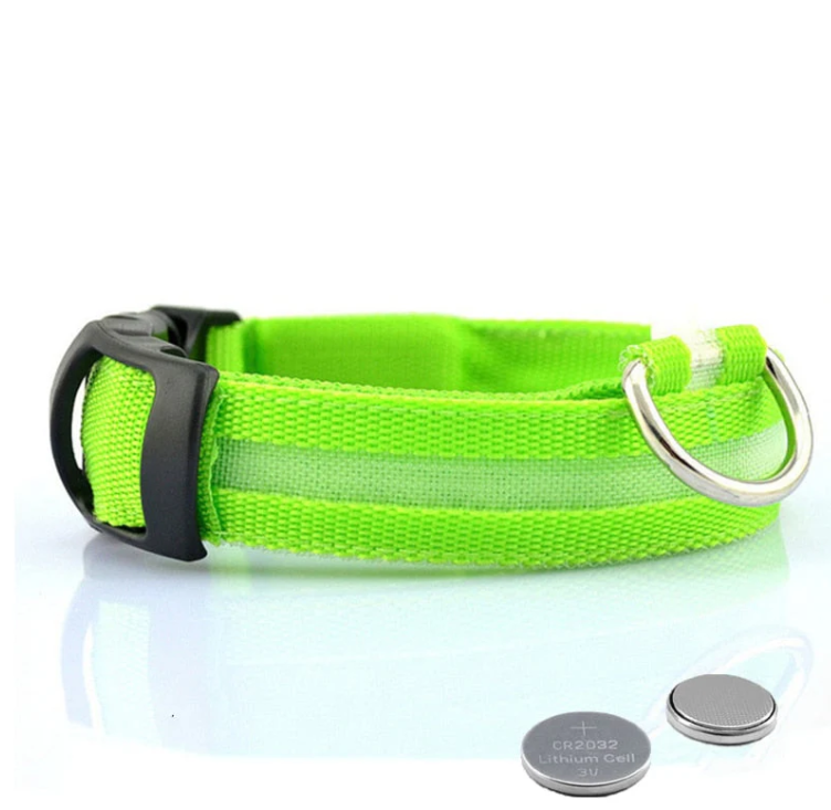Uppladdningsbart LED-halsband som ökar hundens synlighet och säkerhet under kvällspromenader.