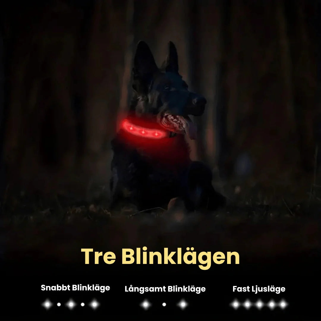 LED-upplyst säkerhetshalsband med AirTag-hållare, en trygghet för hundägare och husdjur i mörker.