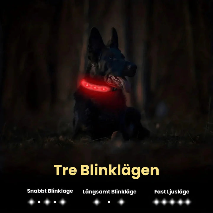 LED-upplyst säkerhetshalsband med AirTag-hållare, en trygghet för hundägare och husdjur i mörker.