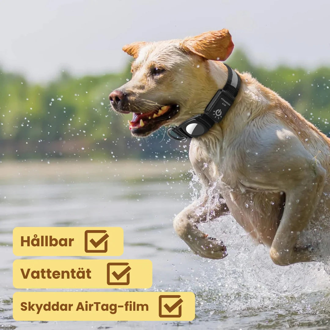 Robusta hundtillbehör: laddbart lysande AirTag-halsband för optimal synlighet och spårning av hund.