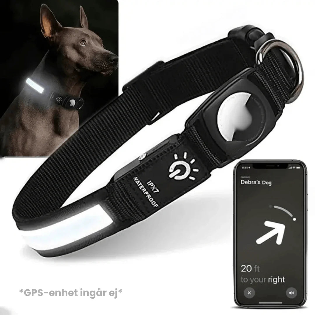 AirTag-hundhalsband med stark LED-belysning och vattentät design, idealiskt för aktiva hundar och säkerhet.