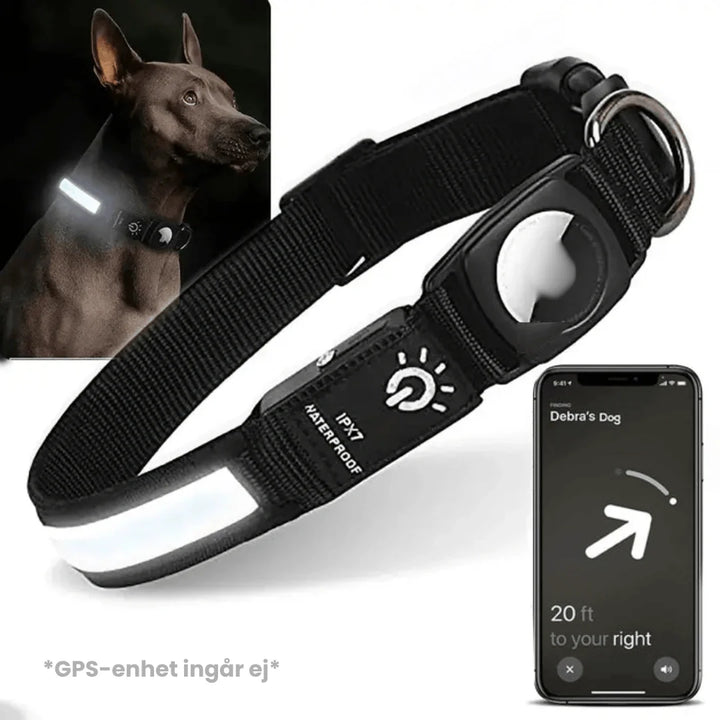 AirTag-hundhalsband med stark LED-belysning och vattentät design, idealiskt för aktiva hundar och säkerhet.
