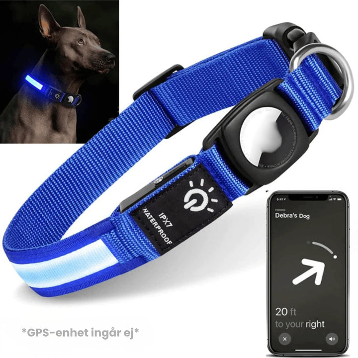 Långvarigt lysande hundhalsband med AirTag-funktion, ger trygghet och spårningsförmåga för din hund.